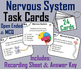 Nervous System Task Cards (Human Body Systems Activity: An