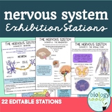 Nervous System Exhibition Stations