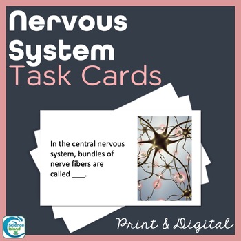 Preview of Nervous System Task Cards - Anatomy and Physiology Activity