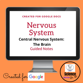 Preview of Nervous System: The Brain Guided Notes | No Prep