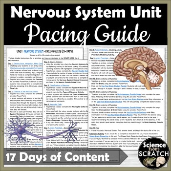 Preview of Nervous System Unit Pacing Guide