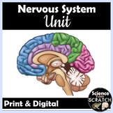 Nervous System Unit for Anatomy