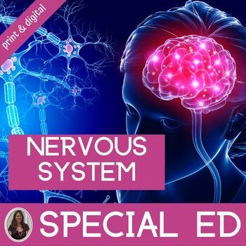 Preview of Nervous System Activities Anatomy and Physiology Curriculum Special Education
