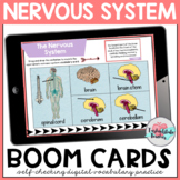 Nervous System Vocabulary Activities Boom Cards