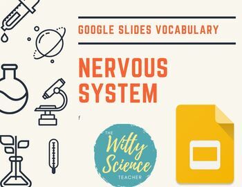 Preview of Nervous System Vocabulary Slides