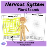 Nervous System Word Search