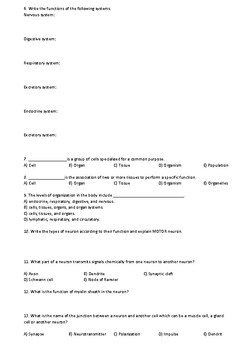 33 Nervous System Worksheet High School - Free Worksheet Spreadsheet