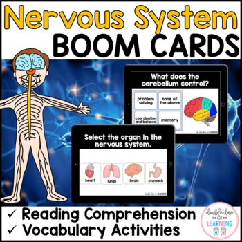 Preview of Nervous System and the Brain - BOOM CARDS™ for Distance Learning