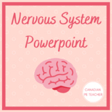 Exercise Science Nervous System & it's Control of Movement Ppt