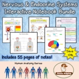 Nervous and Endocrine System Interactive Notebook Bundle