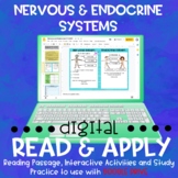 Nervous and Endocrine Systems DIGITAL Read and Apply 