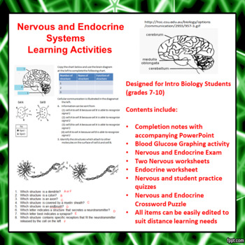 Preview of Nervous and Endocrine Systems Learning Activities (Distance Learning)