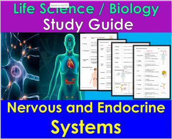 Preview of Nervous and Endocrine Systems -  Life Science / Biology Study Guide and Review