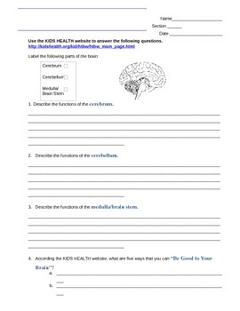 Preview of Nervous system (Brain) webquest activity