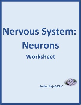 The Anatomy Of A Nerve Impulse Worksheet
