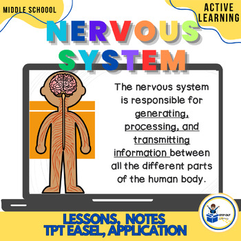 Preview of Nervous system worksheets, diagrams, activity, digital, 7th grade science
