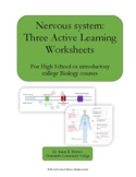 Nervous system: Three Active Learning Worksheets