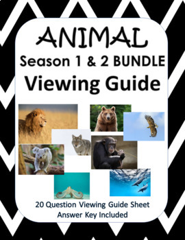 Animal Netflix Teaching Resources | TPT