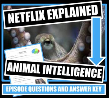 Netflix Explained: Animal Intelligence by Miss Melanie | TPT