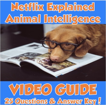 Netflix Explained- Animal Intelligence | TpT