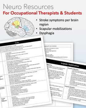 Preview of Neuro Cheat Sheet for Occupational Therapy Students & Practitioners, study guide