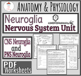 Neuroglia Reading/Coloring/Quiz PDF