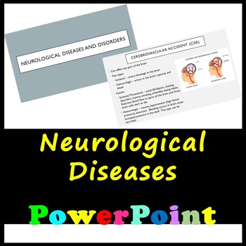 Preview of Neurological System - Bundle Resources with Answers Included