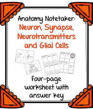 Preview of Neuron, Neurotransmitters, Synapse and Glial Cell Notetakers