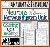 Neuron Reading/Coloring/Quiz PDF