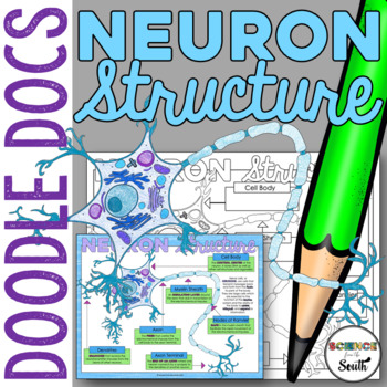 Preview of Neuron Structure Doodle Docs Graphic Organizer for Labeling Parts of a Neuron