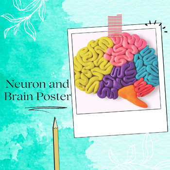 Preview of Neuron and Brain Poster