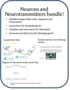 Preview of Neurons and Neurotransmitters Bundle!
