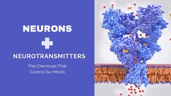Preview of Neurons and Neurotransmitters Presentation with Editable Guided Notes!