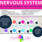 Neurons and the Nervous System Revision Worksheet Bundle