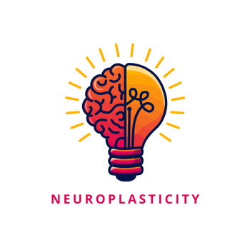 Preview of Neuroplasticity Bundle