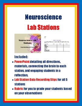 Preview of Neuroscience Lab Stations- Experimenting with Touch!