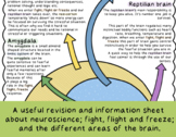 Neuroscience - Therapeutic revision and information sheet 