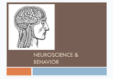 Neuroscience and Behavior Unit -High School Psychology