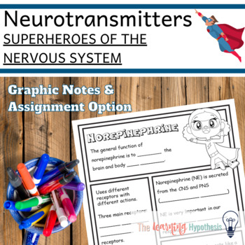 Preview of Neurotransmitter Guided Notes and Assignment. Editable