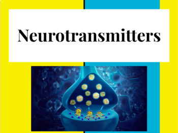 Preview of Neurotransmitter Lesson