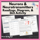 Neurons & Neurotransmitters Reading, Neuron Diagram, Trans