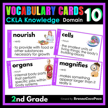 Preview of New 2nd Grade CKLA Knowledge Vocabulary Words for Domain 10