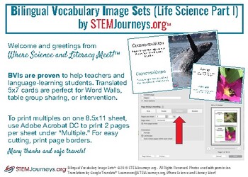 Preview of New! MS Life Science Bilingual Visual Image Set (Part I)