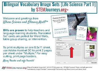 Preview of New! MS Life Science Bilingual Visual Image Set (Part II)