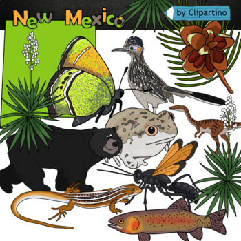 New Mexico State Symbols To Color Worksheets Teaching Resources Tpt