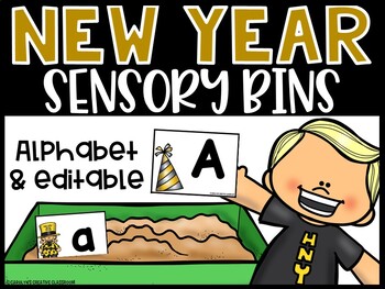 Preview of New Years 2022 Sensory Bin: Letters and EDITABLE sight word cards