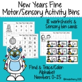 New Years Fine Motor/ Sensory Bin Activities