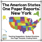 New York One Pager State Report | USA Research Project | G