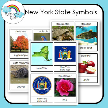 Preview of New York State Symbols