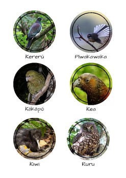 Preview of New Zealand Native Bird Group Labels